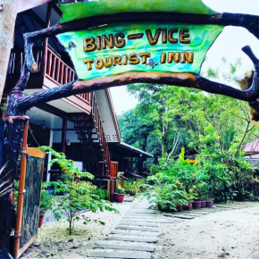 Отель BING-VICE Tourist Inn  San Vicente